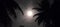 Full moon hidden behind clouds at night between two coconut trees.