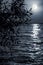 Full moon, lunar path over sea or river with silhouette of tree. Night moonlight background