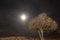 Full moon at Negev Desert, Holy Land, Israel