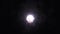 Full Moon at Night on the Background of Silhouettes of Tree Branches and Foliage