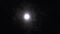 Full Moon at Night on the Background of Silhouettes of Tree Branches and Foliage