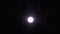 Full Moon at Night on the Background of Silhouettes of Tree Branches and Foliage