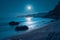 Full moon night, sea landscape, bright and serene coastal panorama