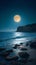 Full moon night, sea landscape, bright and serene coastal panorama