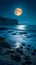 Full moon night, sea landscape, bright and serene coastal panorama