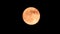 Full moon orange