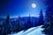 Full moon over winter deep forest covered with snow on winter night