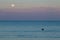 Full Moon and Pelican in Gulf of Mexico, Indian Rocks Beach, Florida