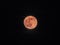 Full moon red, blood moon - bloodmoon isolated -