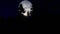 Full moon rising against starry sky, timelapse 4k