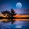 Full moon rising over the lake and tree silhouette