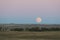 A full moon rising over a North Dakota grain field