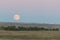 A full moon rising over a North Dakota grain field