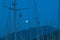 Full moon among sailing boat masts in marina