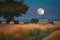 full moon, shining over bucolic landscape, with harvest moon hanging in the sky