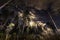 Full moon and stars in sky with clouds shines over Scandinavian wild forest, long exposure night photo, autumn, virgin landscape