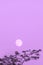 Full moon and tree, copy space, violet evening sky