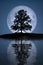 Full moon with tree lake reflections