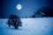 Full Moon Winter Scenery