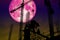 full pink moon back silhouette worker on construction building