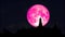 Full pink moon rise back on silhouette buddhist temple