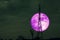 Full purple crow Moon and silhouette power electric pole and the night sky