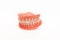 Full removable plastic denture of the jaws. Set of dentures on a white background. A side view of a dental prosthesis, isolate.