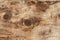 Full-screen texture of a rough wooden slab