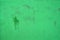 Full-screen texture of a roughly painted green metal sheet