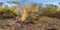 Full seamless hdri 360 panorama near mountain river in tree-covered ravine in autumn forest in sunny day equirectangular spherical