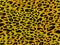 Full seamless leopard cheetah animal skin pattern. Full seamless leopard cheetah animal skin pattern. Design for textile fabric pr