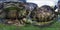 Full seamless panorama 360 by 180 angle view inside ruined abandoned military fortress of the First World War in forest in