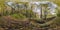 Full seamless spherical hdri 360 panorama on mountain near tree-covered ravine in autumn forest equirectangular spherical