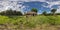 full seamless spherical hdri 360 panorama view near abandoned overgrown barn with bushes wooden house in village in forest in