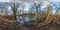 Full seamless spherical hdri panorama 360 degrees angle view among the bushes of forest near swamp in equirectangular projection,