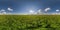 Full seamless spherical hdri panorama 360 degrees angle view on among green farming fields in summer day with awesome clouds in