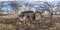 Full seamless spherical hdri panorama 360 degrees angle view near abandoned wooden ruined barn in village near huge trees in