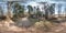 Full seamless spherical hdri panorama 360 degrees angle view near stone abandoned ruined military bunker building in pine forest