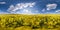 Full seamless spherical hdri panorama 360 degrees angle view on among rapseed canola colza fields in spring day with blue sky in