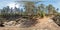 Full seamless spherical panorama 360 degrees angle view ruined abandoned military fortress of the First World War in pine forest