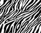 Full seamless wallpaper for zebra and tiger stripes animal skin pattern. Black and white design for textile fabric printing.