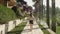 Full shot of beautiful tourist woman walking along picturesque walkway along villas at resort on vacation.