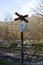 Full shot of an old stop sign beside a railroad with dried leafless tress in the background