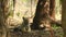 Full shot of wild male bengal tiger or panthera tigris tigris in natural environment in safari at bandhavgarh national park forest