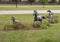 Full size bronze sculpture of four horses running beside a neighborhood in the Phillips Creek Ranch development in Frisco, Texas