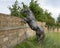 Full size bronze sculpture of a horse rearing beside a neighborhood in the Phillips Creek Ranch development in Frisco, Texas