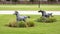 Full size bronze sculpture of two horses running beside a neighborhood in the Phillips Creek Ranch development in Frisco, Texas