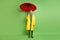 Full size photo of brunet optimistic guy stand with umbrella wear cloak boots isolated on green color background