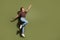 Full size photo of ecstatic woman dressed brown t-shirt pants flying catching object look empty space isolated on khaki