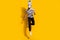 Full size photo of freak surreal guy in zebra horse mask jump up isolated over bright yellow color background